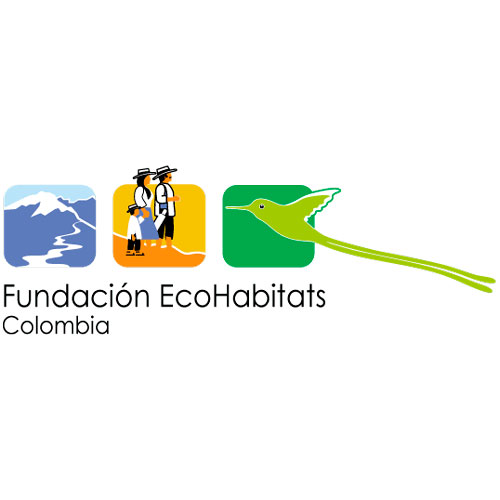 Fundacion